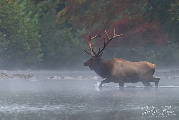 River Crossing